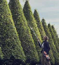 Husqvarna 520iht4 Telescoop Heggenschaar 7 Husqvarna 520iht4 Telescoop Heggenschaar -Husqvarna Winkel 967971203 3 HUSQVARNA20520iHT420TELESCOOP20HEGGENSCHAAR