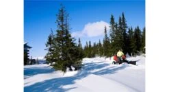 Husqvarna P520dx Zitmaaier Diesel 37 Husqvarna P520dx Zitmaaier Diesel -Husqvarna Winkel Husqvarna20Rider20P52020D20918