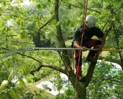 Silky Longboy Stokzaag Opklapbaar 360 Cm -Husqvarna Winkel KSI636536 5 SILKY20LONGBOY20STOKZAAG20OPKLAPBAAR2036020CM