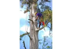 Silky Sugowaza 420 - 6.5 Handzaag -Husqvarna Winkel KSI641942 4 SILKY20SUGOWAZA2042020 206.520HANDZAAG