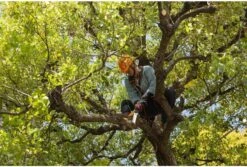 Silky Sugoi Boomverzorging Zaag 33 Cm -Husqvarna Winkel SUGOI330 5 SILKY20SUGOI20BOOMVERZORGING20ZAAG203320CM