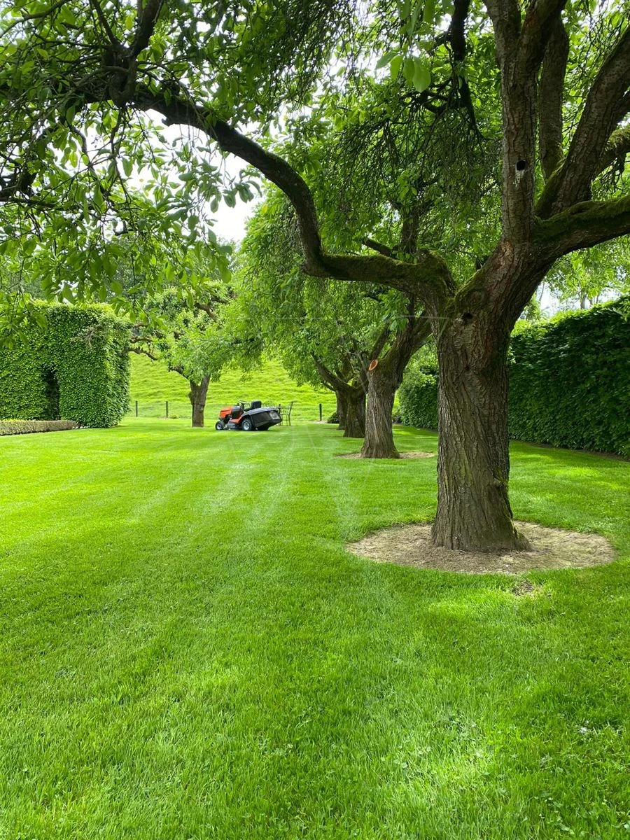 Husqvarna Tc 138l Tractor Opvang 97cm 4 Husqvarna Tc 138l Tractor Opvang 97cm - Afbeelding 2